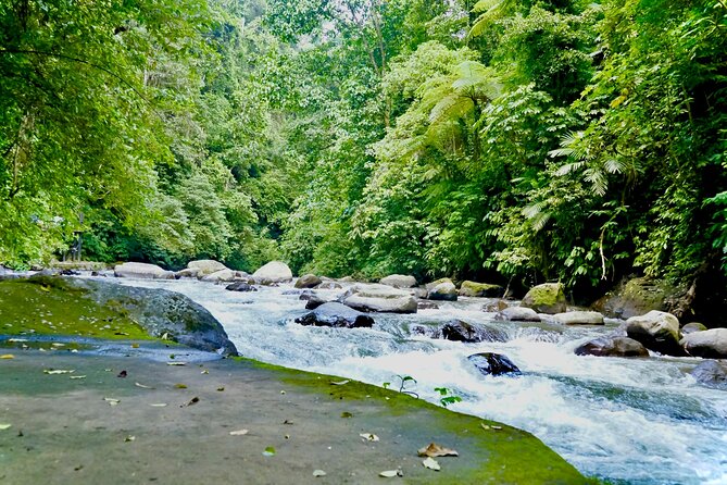 Bali ATV Quad Bike & Ayung River Rafting Combo with Lunch - Paddling through the Ayung River
