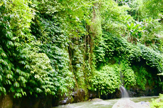 Bali ATV Quad Bike & Ayung River Rafting Combo with Lunch - Is $100 a fair price?