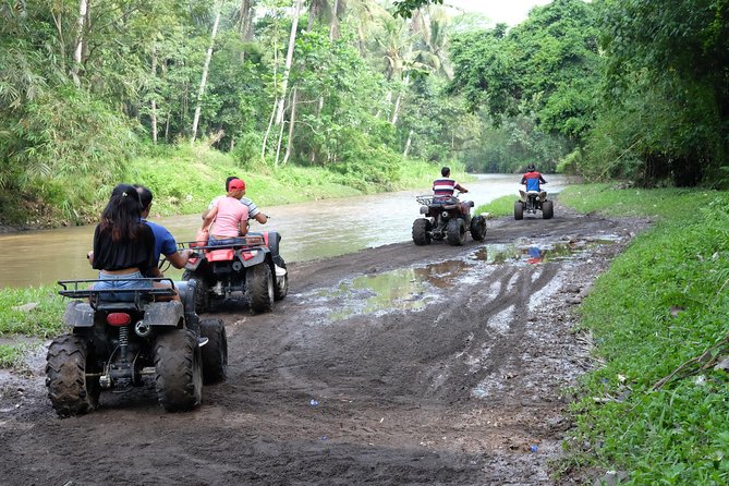 Bali Atv Quad Bike Through Tunnel and Waterfall - Coffee, civets, and the Temen plantation