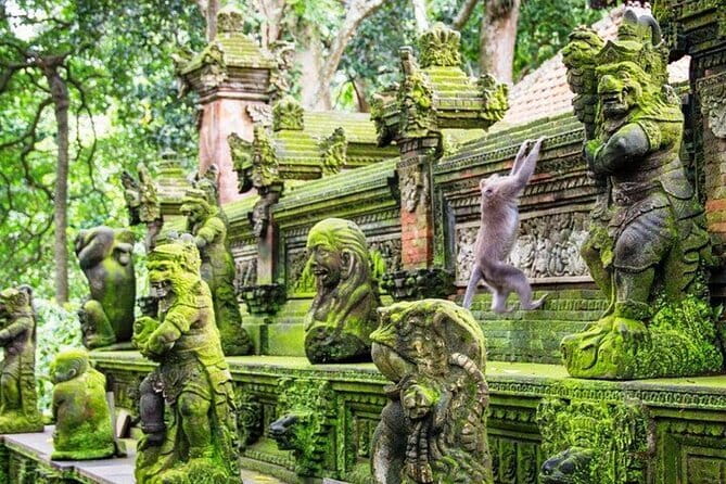Bali ATV Quad Bike Ubud Swing & Monkey Forest All Inclusive - Sacred Monkey Forest brings a different kind of excitement