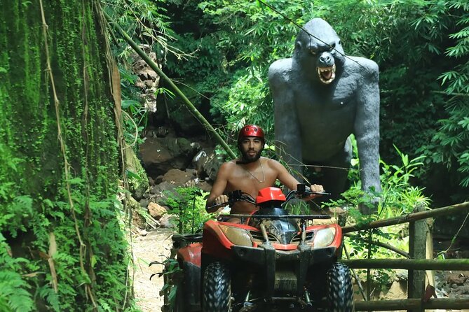 Bali ATV Quad Bike with Ubud Day Tour All Inclusive - Private transport makes the long day easier