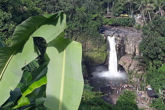Bali ATV Rafting And Ubud Waterfall Private Tour - Is $63.87 good value?