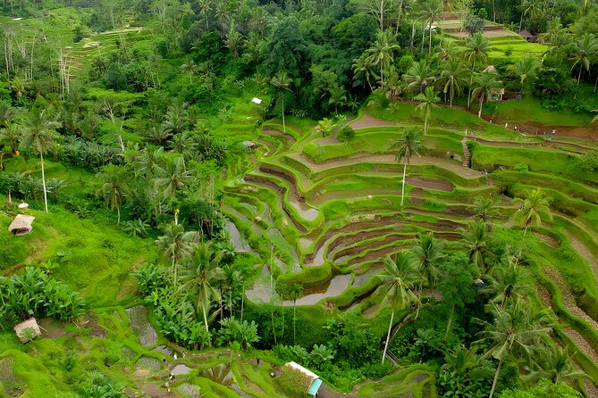 Bali ATV Ride And Ubud Tour Packages : Best Quad Bike Trip - Two hours on Bali’s ATV trails