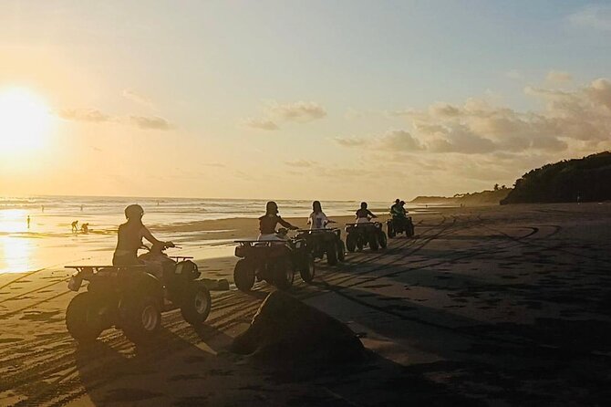 Bali ATV Ride On the Beach, Rice Field and Village Tour 2 Hour - How the $44.50 price measures up