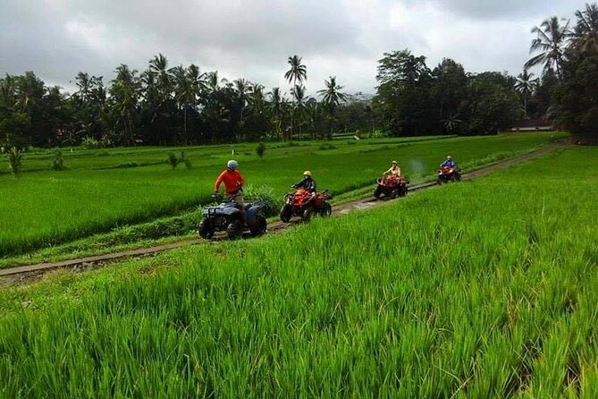 Bali ATV Ride tour Ubud - Who Will Enjoy This Ubud ATV Experience