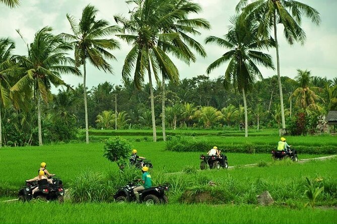 Bali ATV Ride waterfall jungle and rice fild track ubud - Getting Ready for the ATV Ride