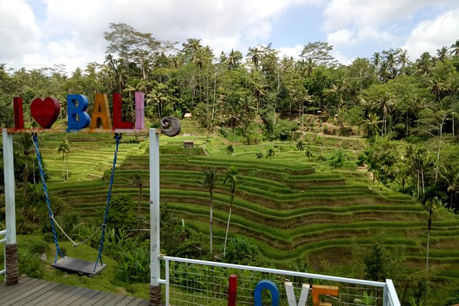 Bali ATV Ride with Jungle Swing and Rice Terrace Tour - Walking the Tegalalang Rice Terrace