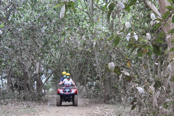 Bali Atv Riding through Cave and Waterfall - Village roads and rice paddy views
