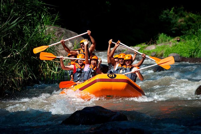 Bali Ayung River White Water Rafting with Transport - Quick takeaways from the Ayung River trip