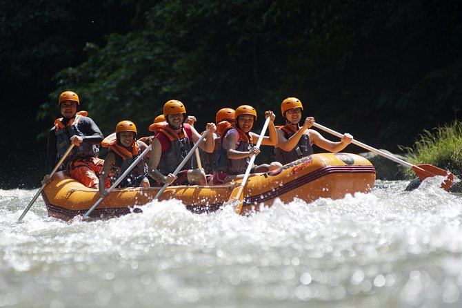 Bali Ayung River White Water Rafting with Transport - Why the Ayung River setting makes this more than a poolside thrill ride