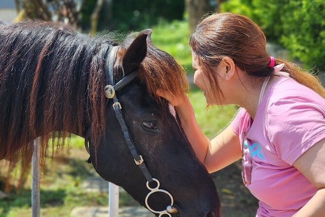 Bali Beach Horse Riding combo with waterfall All Inclusive - Practical ways to prepare