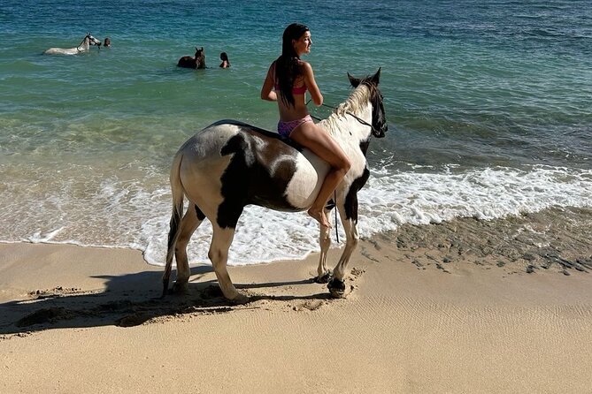 Bali Beach Horse Riding combo with waterfall All Inclusive - Why the private format changes the day