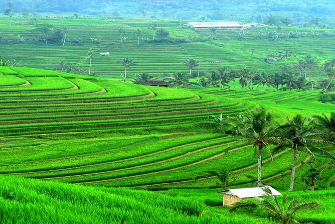 Bali: Bedugul Lake Temple, Banyumala Waterfall, UNESCO Rice Field - The return to Bali’s beach and city areas