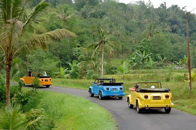 Bali: Bedugul Temple, Banyumala Waterfall, UNESCO Rice Terrace - What the $39 price really covers