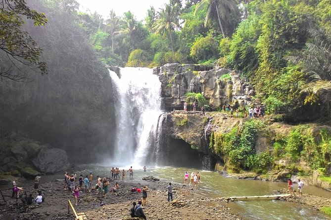 Bali Benoa Shore Excursion for cruise's passenger - All Inclusive - Uma Pakel: coffee, crops, and optional thrills