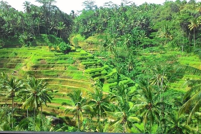 Bali Benoa Shore Excursion for cruise's passenger - All Inclusive - Celuk Village and Bali’s craft tradition