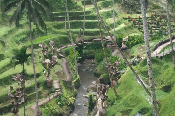 Bali Benoa Shore Excursion for cruise's passenger - All Inclusive - Lunch above the rice terraces