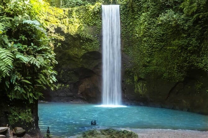 Bali: Best Eastern Waterfalls with Private Bali Tours - A coffee plantation with a local touch