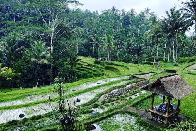 Bali: Best Eastern Waterfalls with Private Bali Tours - Timing, pickup areas, and comfort