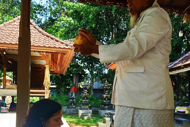Bali Best Private of Nusa Penida Tour - What $46 Covers, and What It Does Not