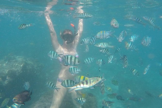 Bali Best Snorkeling at Blue Lagoon - A private format with personal guidance