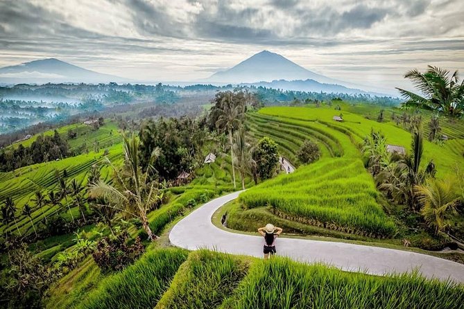 Bali BEST Things to Do Private Full-day Tour from Your Hotel - Waterfalls: Tukad Cepung and Tegenungan