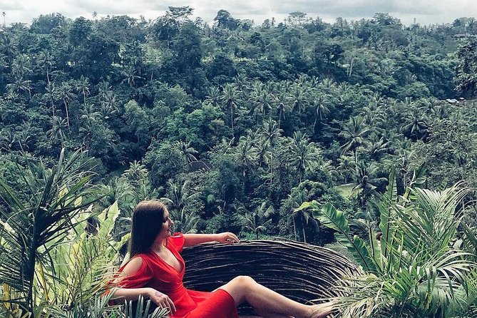 Bali BEST Things to Do Private Full-day Tour from Your Hotel - Tegalalang Rice Terrace and the Bali swing option
