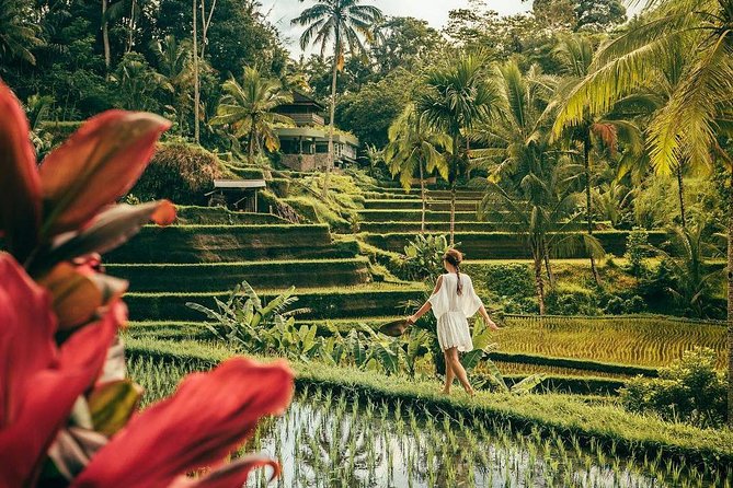 Bali BEST Things to Do Private Full-day Tour from Your Hotel - Tirta Gangga and the quieter East Bali route