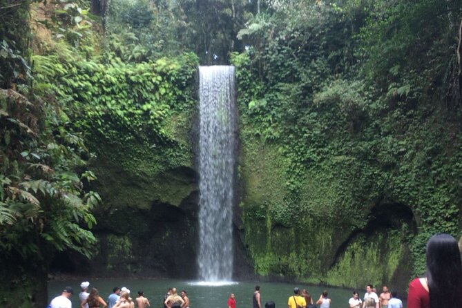 Bali best waterfall - A private car makes the logistics easier