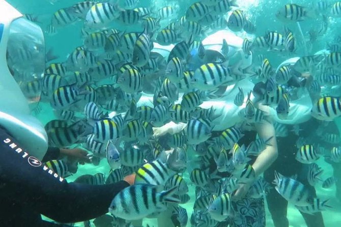 Bali Best Watersport Sea walker,Parasailing adventure,Jet sky - From Ubud to Tanjung Benoa