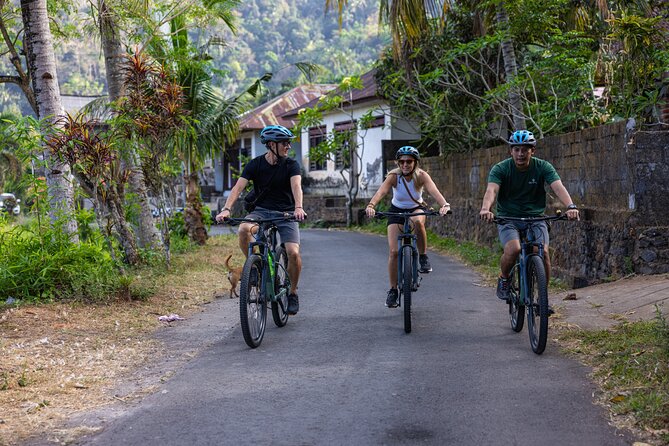 Bali Bike Tour Ubud Area - Key points to know before booking