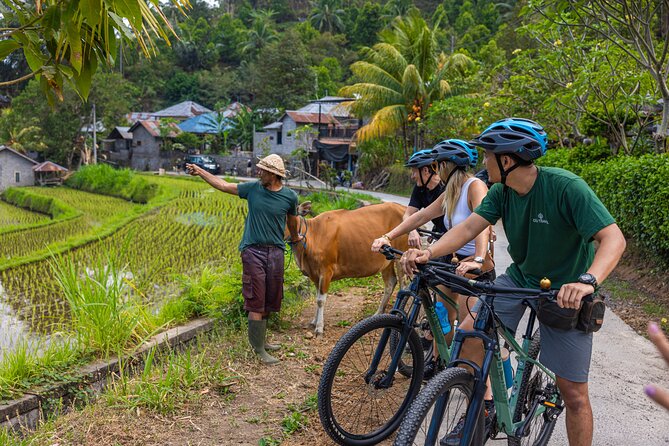 Bali Bike Tour Ubud Area - What the $67.28 price includes