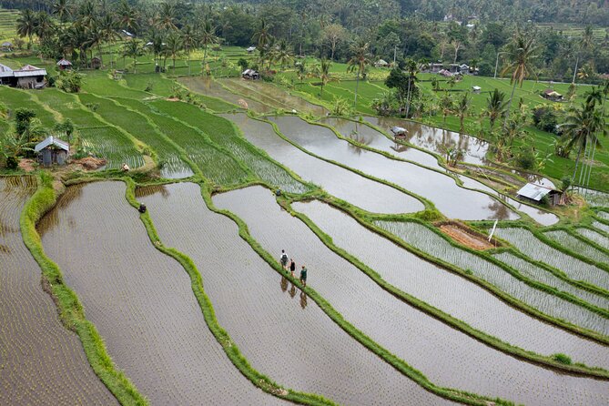 Bali Bike Tour Ubud Area - Who should book this tour?
