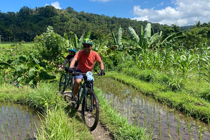 Bali Bike Tour Ubud Area - Three hours through fields and village lanes