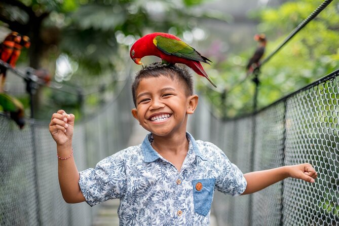 Bali Bird Park Admission Ticket - A close look at Bali’s birds in a tropical park