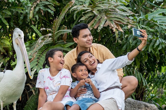 Bali Bird Park Admission Ticket - Feeding lorikeets, pelicans, and young birds