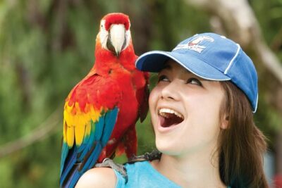 Bali Bird Park Admission Ticket
