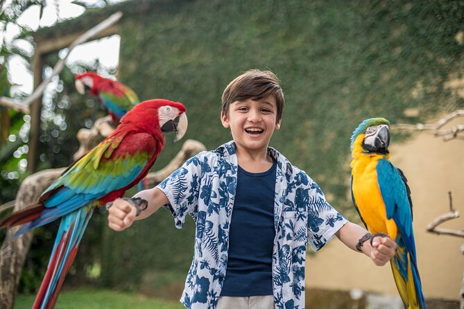 Bali Bird Park Admission Ticket - A special encounter with the Komodo dragon