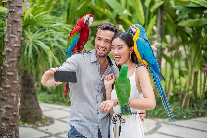 Bali Bird Park Admission Ticket - The included 4D movie and a useful break