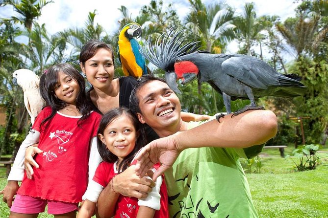 Bali Bird Park Admission Ticket with Hotel Transfer - Why Bali Bird Park is more than a quick family stop