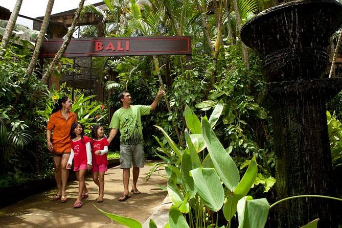 Bali Bird Park Admission Ticket with Hotel Transfer - Shows, feeding, and close-up photographs