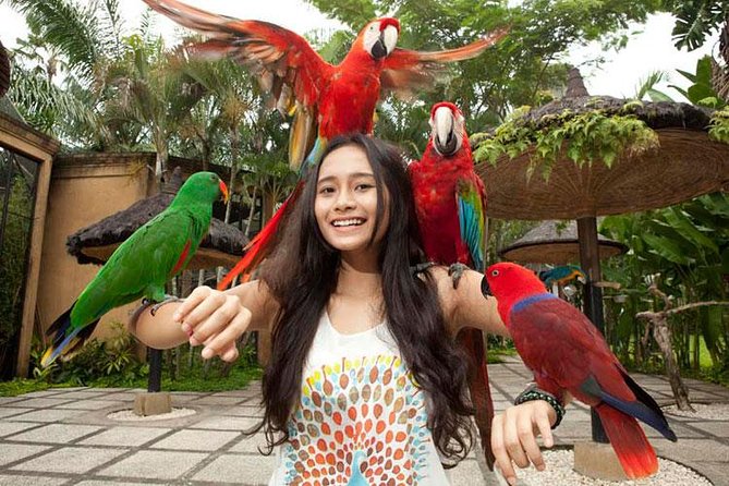 Bali Bird Park Admission Ticket with Hotel Transfer - Is $38 per person good value?