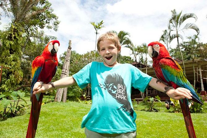 Bali Bird Park Admission Ticket with Hotel Transfer - Who will enjoy this outing most?
