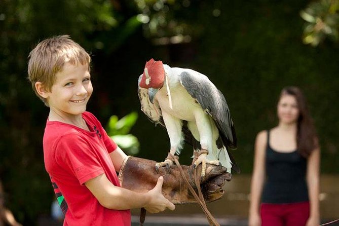 Bali Bird Park Admission Ticket with Hotel Transfer - What your private transfer adds