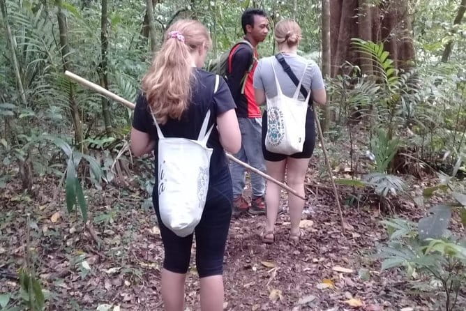 Bali Blue Lagoon Snorkeling and Waterfall Day Tour with Lunch - Timing, fitness, and what to bring