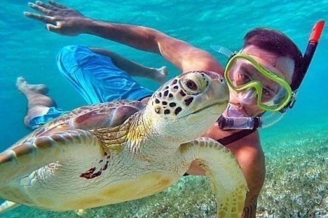 Bali : Blue Lagoon Snorkeling combine with Bali Swing in Ubud - Key points to know before booking