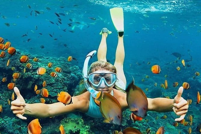 Bali : Blue Lagoon Snorkeling combine with Bali Swing in Ubud - Timing, comfort, and what to pack