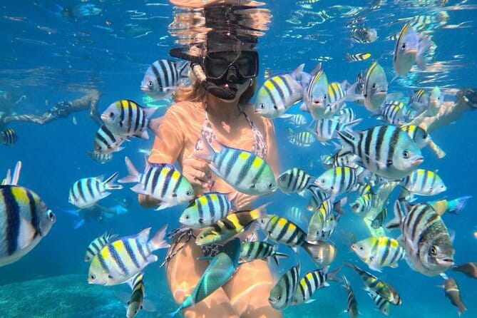 Bali : Blue Lagoon Snorkeling combine with Bali Swing in Ubud - The guide can shape the whole day