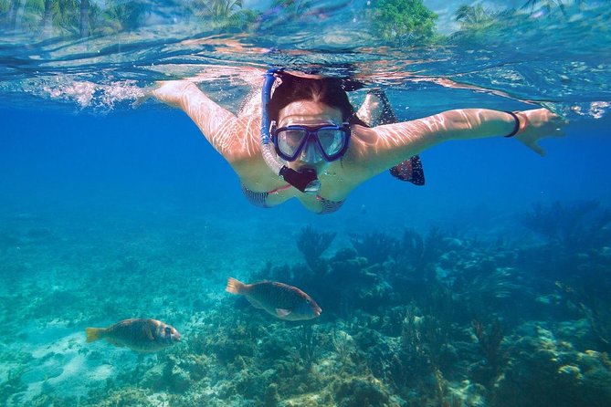 Bali Blue Lagoon Snorkeling Experience - What the boat ride adds