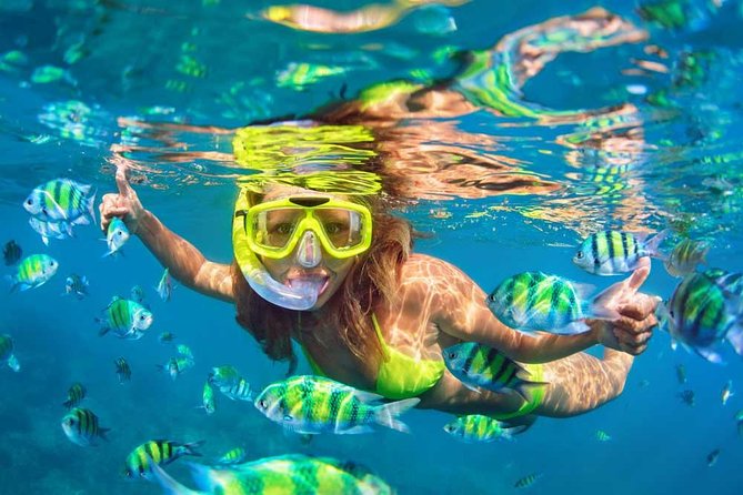 Bali Blue Lagoon Snorkeling Experience - The practical weak spot: getting oriented at the beach
